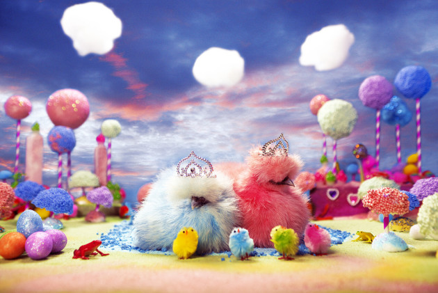 Foam Lolly Pops. &copy; Chrissie Hall